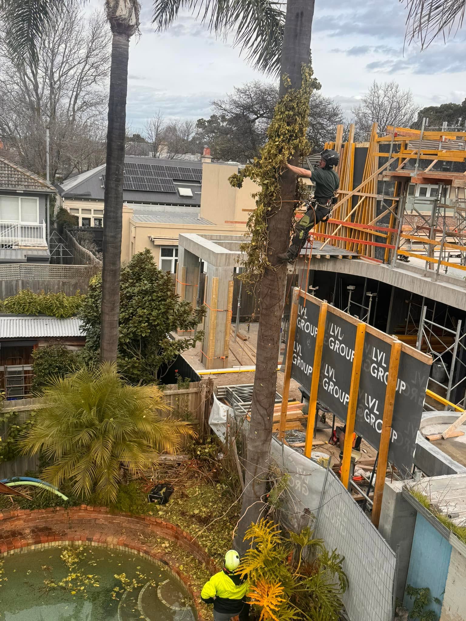 regen-tree-services (3)