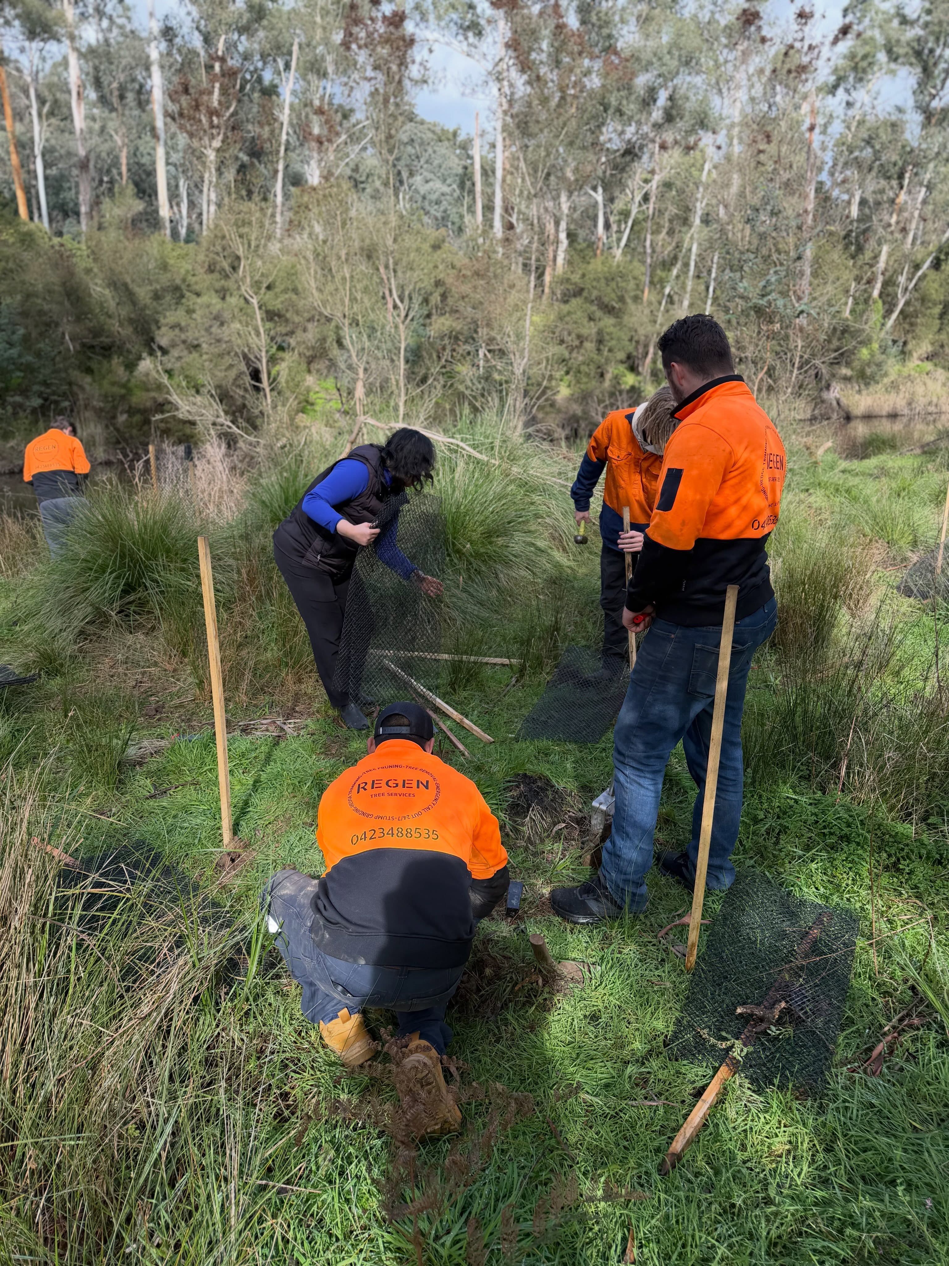 regen-tree-services (9)