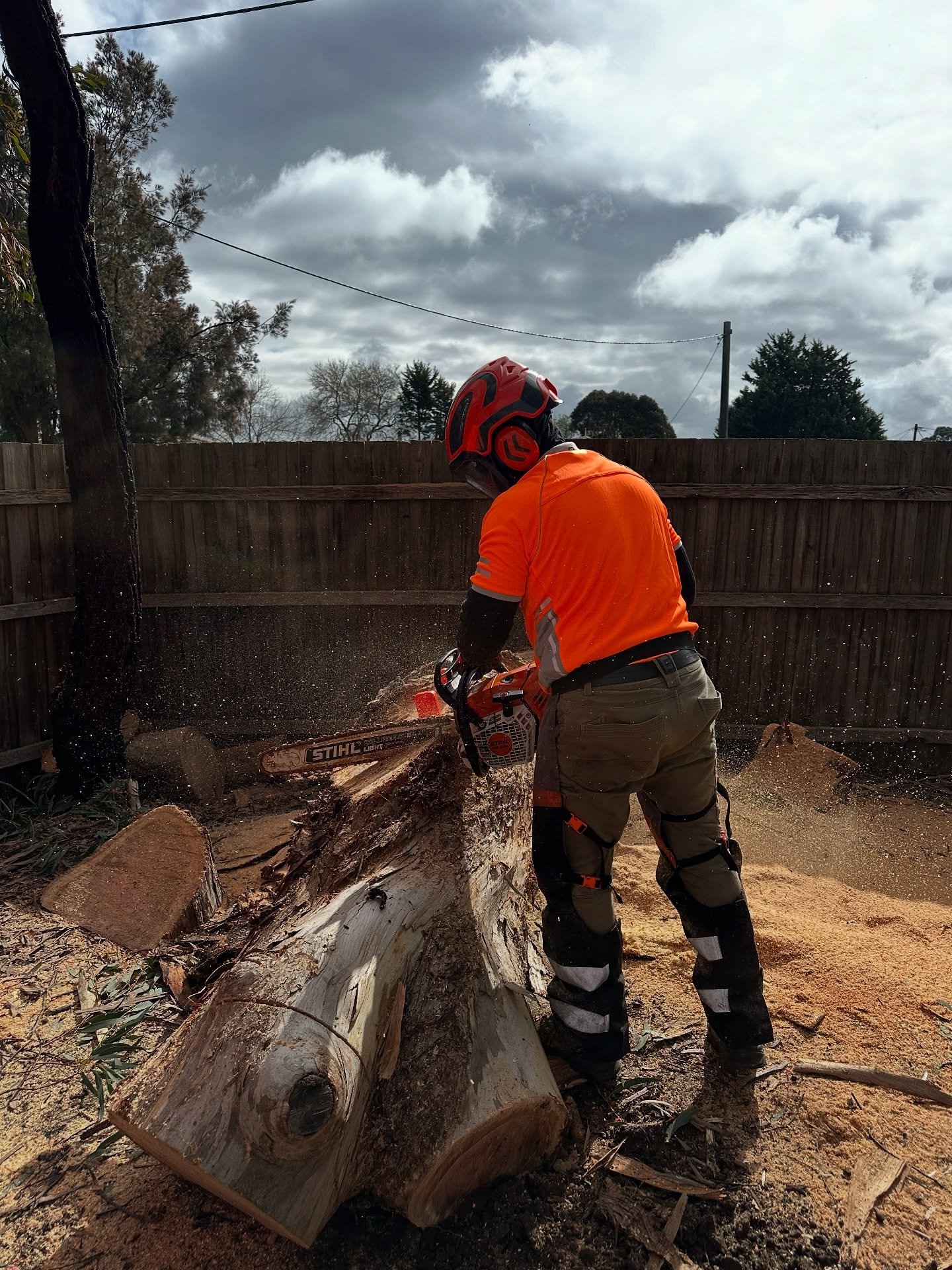 RedGum-tree-service-9.jpg