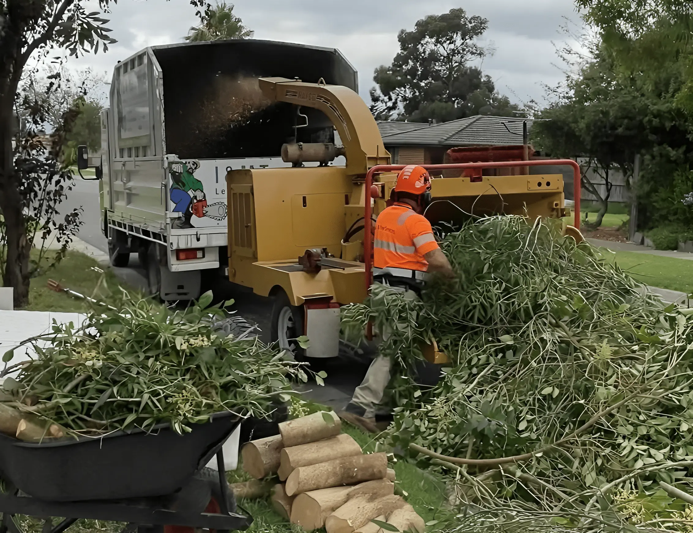 RedGum-tree-specialist-9-min.webp
