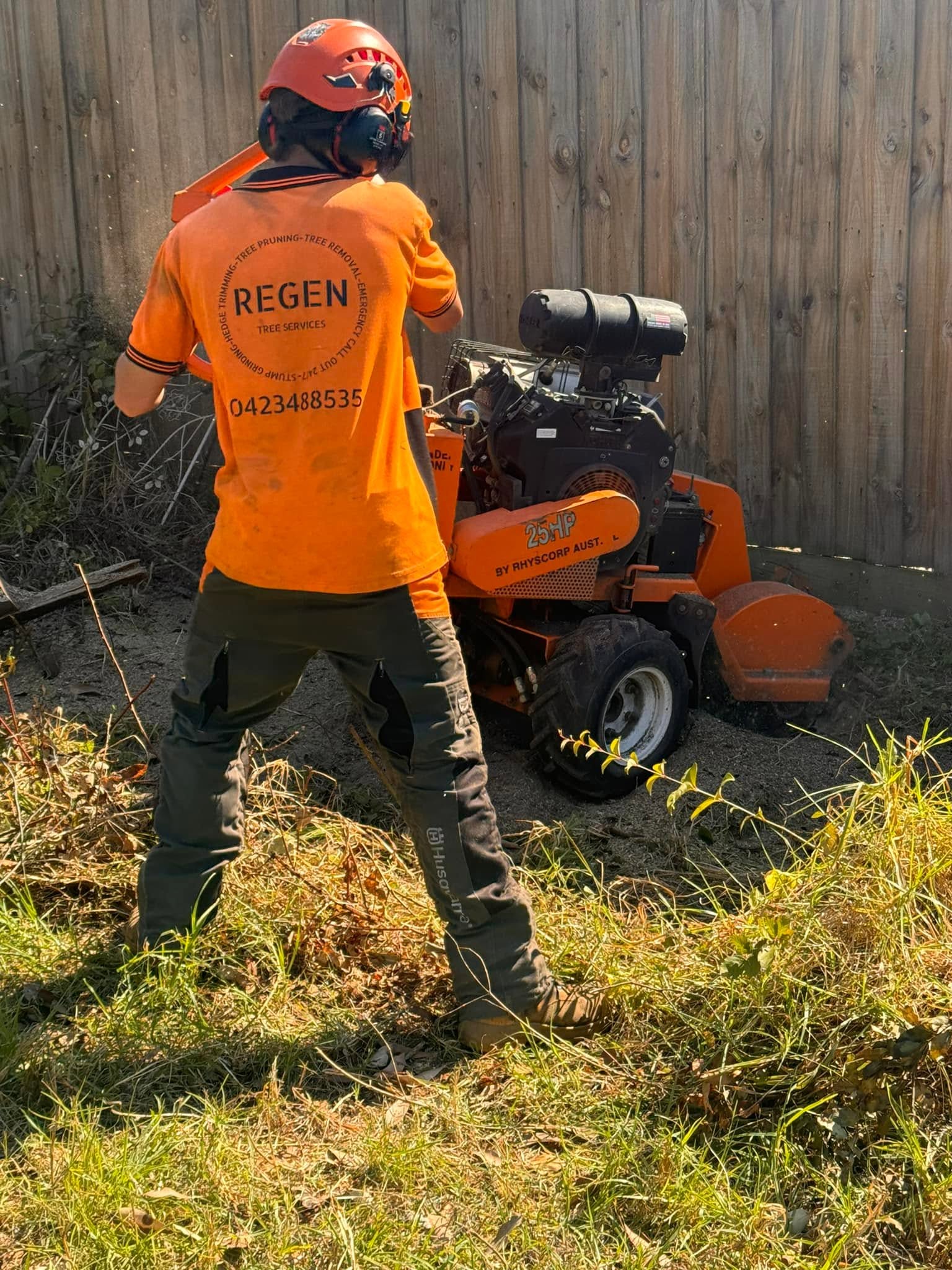Regen-tree-services (11)